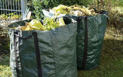 Que faire des déchets ?