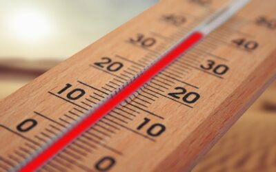 Alerte canicule