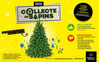 Collecte de sapins de Noël